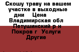 Скошу траву на вашем участке(в выходные дни) › Цена ­ 400 - Владимирская обл., Петушинский р-н, Покров г. Услуги » Другие   